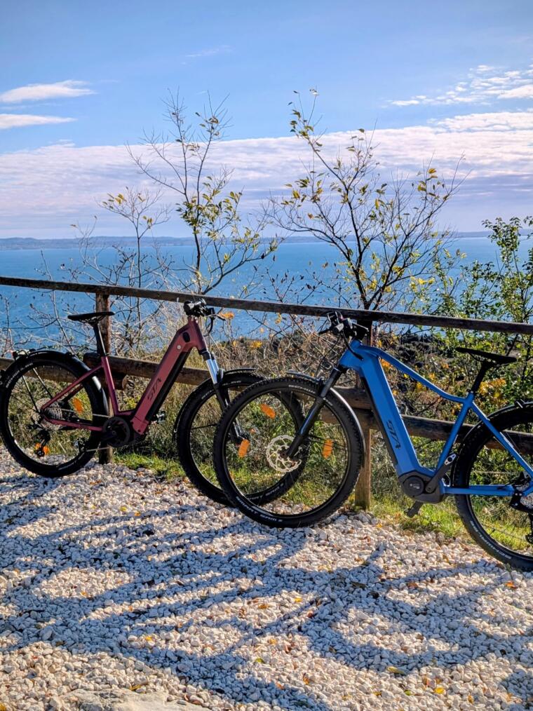 O:28:"craft\elements\db\AssetQuery":97:{s:27:" yii\base\Component _events";a:0:{}s:35:" yii\base\Component _eventWildcards";a:0:{}s:30:" yii\base\Component _behaviors";a:1:{s:12:"customFields";O:35:"craft\behaviors\CustomFieldBehavior":66:{s:5:"owner";r:1;s:34:" yii\base\Behavior _attachedEvents";a:0:{}s:10:"hasMethods";b:1;s:16:"canSetProperties";b:1;s:3:"seo";N;s:13:"analyticsCode";N;s:7:"favicon";N;s:4:"logo";N;s:9:"logoEmail";N;s:13:"pieFooterLeft";N;s:8:"textItem";N;s:14:"pieFooterRight";N;s:10:"singleItem";N;s:11:"footerImage";N;s:14:"contentiFooter";N;s:11:"contentItem";N;s:9:"titleItem";N;s:7:"socials";N;s:9:"socialUrl";N;s:4:"icon";N;s:14:"headerContacst";N;s:7:"urlItem";N;s:9:"heroImage";N;s:14:"flexibleBlocks";N;s:4:"text";N;s:16:"secondColumnText";N;s:9:"fullImage";N;s:6:"slider";N;s:10:"imageSlide";N;s:10:"numberRoom";N;s:8:"urlSlide";N;s:10:"titleSlide";N;s:3:"cta";N;s:5:"image";N;s:10:"roomPrices";N;s:14:"priceLowSeason";N;s:16:"priceHightSeason";N;s:9:"titleRoom";N;s:15:"descriptionRoom";N;s:14:"sigleRoomPrice";N;s:15:"doubleRoomPrice";N;s:14:"threeRoomPrice";N;s:13:"fourRoomPrice";N;s:10:"titleBlock";N;s:13:"titleSubtitle";N;s:6:"images";N;s:6:"image2";N;s:7:"idBlock";N;s:16:"doubleRoomPrices";N;s:14:"treeRoomPrices";N;s:14:"fourRoomPrices";N;s:11:"pricesBlock";N;s:7:"persons";N;s:13:"featuredImage";N;s:3:"map";N;s:9:"formIntro";N;s:9:"formError";N;s:11:"formPrivacy";N;s:15:"headerExtraCode";N;s:15:"footerExtraCode";N;s:13:"paddingBottom";N;s:4:"hero";N;s:9:"videoFile";N;s:10:"videoImage";N;s:8:"seoMatic";N;s:55:" craft\behaviors\CustomFieldBehavior _customFieldValues";a:0:{}}}s:6:"select";a:1:{s:2:"**";s:2:"**";}s:12:"selectOption";N;s:8:"distinct";b:0;s:4:"from";N;s:7:"groupBy";N;s:4:"join";a:1:{i:0;a:3:{i:0;s:10:"INNER JOIN";i:1;a:1:{s:9:"relations";s:14:"{{%relations}}";}i:2;a:4:{i:0;s:3:"and";i:1;s:40:"[[relations.targetId]] = [[elements.id]]";i:2;a:2:{s:18:"relations.sourceId";i:1109;s:17:"relations.fieldId";s:2:"71";}i:3;a:3:{i:0;s:2:"or";i:1;a:1:{s:22:"relations.sourceSiteId";N;}i:2;a:1:{s:22:"relations.sourceSiteId";i:2;}}}}}s:6:"having";N;s:5:"union";N;s:11:"withQueries";N;s:6:"params";a:0:{}s:18:"queryCacheDuration";N;s:20:"queryCacheDependency";N;s:5:"where";N;s:5:"limit";N;s:6:"offset";N;s:7:"orderBy";a:1:{s:19:"relations.sortOrder";i:4;}s:7:"indexBy";N;s:16:"emulateExecution";b:0;s:11:"elementType";s:20:"craft\elements\Asset";s:5:"query";N;s:8:"subQuery";N;s:12:"contentTable";s:12:"{{%content}}";s:12:"customFields";N;s:9:"inReverse";b:0;s:7:"asArray";b:0;s:18:"ignorePlaceholders";b:0;s:6:"drafts";b:0;s:17:"provisionalDrafts";b:0;s:7:"draftId";N;s:7:"draftOf";N;s:12:"draftCreator";N;s:15:"savedDraftsOnly";b:0;s:9:"revisions";b:0;s:10:"revisionId";N;s:10:"revisionOf";N;s:15:"revisionCreator";N;s:2:"id";N;s:3:"uid";N;s:14:"siteSettingsId";N;s:10:"fixedOrder";b:0;s:6:"status";a:1:{i:0;s:7:"enabled";}s:8:"archived";b:0;s:7:"trashed";b:0;s:11:"dateCreated";N;s:11:"dateUpdated";N;s:6:"siteId";i:2;s:6:"unique";b:0;s:11:"preferSites";N;s:6:"leaves";b:0;s:9:"relatedTo";N;s:5:"title";N;s:4:"slug";N;s:3:"uri";N;s:6:"search";N;s:3:"ref";N;s:4:"with";N;s:16:"withCustomFields";b:1;s:13:"withStructure";N;s:11:"structureId";N;s:5:"level";N;s:14:"hasDescendants";N;s:10:"ancestorOf";N;s:12:"ancestorDist";N;s:12:"descendantOf";N;s:14:"descendantDist";N;s:9:"siblingOf";N;s:13:"prevSiblingOf";N;s:13:"nextSiblingOf";N;s:16:"positionedBefore";N;s:15:"positionedAfter";N;s:17:" * defaultOrderBy";a:2:{s:20:"elements.dateCreated";i:3;s:11:"elements.id";i:3;}s:53:" craft\elements\db\ElementQuery _placeholderCondition";N;s:51:" craft\elements\db\ElementQuery _placeholderSiteIds";N;s:39:" craft\elements\db\ElementQuery _result";N;s:47:" craft\elements\db\ElementQuery _resultCriteria";N;s:46:" craft\elements\db\ElementQuery _searchResults";N;s:42:" craft\elements\db\ElementQuery _cacheTags";N;s:42:" craft\elements\db\ElementQuery _columnMap";a:0:{}s:51:" craft\elements\db\ElementQuery _joinedElementTable";b:0;s:8:"editable";N;s:7:"savable";N;s:8:"volumeId";N;s:8:"folderId";N;s:10:"uploaderId";N;s:8:"filename";N;s:4:"kind";N;s:6:"hasAlt";b:1;s:5:"width";N;s:6:"height";N;s:4:"size";N;s:12:"dateModified";N;s:17:"includeSubfolders";b:0;s:10:"folderPath";N;s:14:"withTransforms";N;}