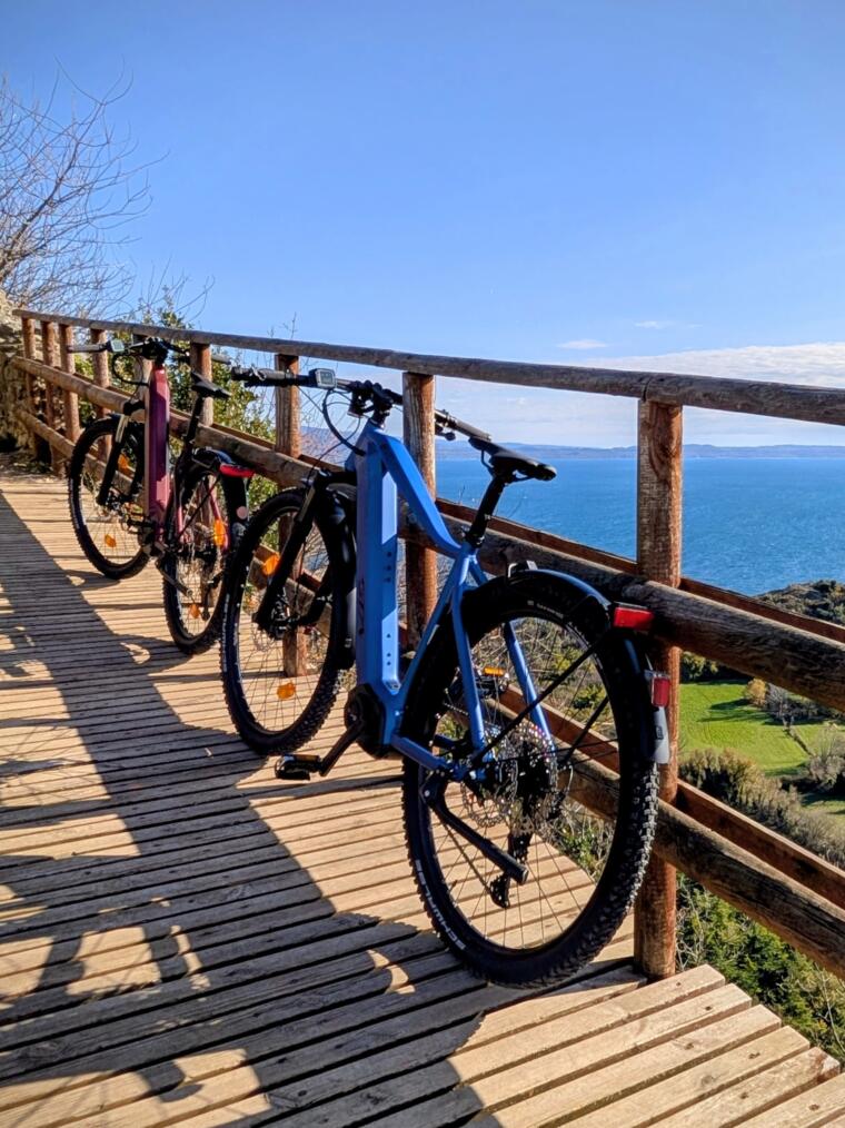 O:28:"craft\elements\db\AssetQuery":97:{s:27:" yii\base\Component _events";a:0:{}s:35:" yii\base\Component _eventWildcards";a:0:{}s:30:" yii\base\Component _behaviors";a:1:{s:12:"customFields";O:35:"craft\behaviors\CustomFieldBehavior":66:{s:5:"owner";r:1;s:34:" yii\base\Behavior _attachedEvents";a:0:{}s:10:"hasMethods";b:1;s:16:"canSetProperties";b:1;s:3:"seo";N;s:13:"analyticsCode";N;s:7:"favicon";N;s:4:"logo";N;s:9:"logoEmail";N;s:13:"pieFooterLeft";N;s:8:"textItem";N;s:14:"pieFooterRight";N;s:10:"singleItem";N;s:11:"footerImage";N;s:14:"contentiFooter";N;s:11:"contentItem";N;s:9:"titleItem";N;s:7:"socials";N;s:9:"socialUrl";N;s:4:"icon";N;s:14:"headerContacst";N;s:7:"urlItem";N;s:9:"heroImage";N;s:14:"flexibleBlocks";N;s:4:"text";N;s:16:"secondColumnText";N;s:9:"fullImage";N;s:6:"slider";N;s:10:"imageSlide";N;s:10:"numberRoom";N;s:8:"urlSlide";N;s:10:"titleSlide";N;s:3:"cta";N;s:5:"image";N;s:10:"roomPrices";N;s:14:"priceLowSeason";N;s:16:"priceHightSeason";N;s:9:"titleRoom";N;s:15:"descriptionRoom";N;s:14:"sigleRoomPrice";N;s:15:"doubleRoomPrice";N;s:14:"threeRoomPrice";N;s:13:"fourRoomPrice";N;s:10:"titleBlock";N;s:13:"titleSubtitle";N;s:6:"images";N;s:6:"image2";N;s:7:"idBlock";N;s:16:"doubleRoomPrices";N;s:14:"treeRoomPrices";N;s:14:"fourRoomPrices";N;s:11:"pricesBlock";N;s:7:"persons";N;s:13:"featuredImage";N;s:3:"map";N;s:9:"formIntro";N;s:9:"formError";N;s:11:"formPrivacy";N;s:15:"headerExtraCode";N;s:15:"footerExtraCode";N;s:13:"paddingBottom";N;s:4:"hero";N;s:9:"videoFile";N;s:10:"videoImage";N;s:8:"seoMatic";N;s:55:" craft\behaviors\CustomFieldBehavior _customFieldValues";a:0:{}}}s:6:"select";a:1:{s:2:"**";s:2:"**";}s:12:"selectOption";N;s:8:"distinct";b:0;s:4:"from";N;s:7:"groupBy";N;s:4:"join";a:1:{i:0;a:3:{i:0;s:10:"INNER JOIN";i:1;a:1:{s:9:"relations";s:14:"{{%relations}}";}i:2;a:4:{i:0;s:3:"and";i:1;s:40:"[[relations.targetId]] = [[elements.id]]";i:2;a:2:{s:18:"relations.sourceId";i:222;s:17:"relations.fieldId";s:2:"34";}i:3;a:3:{i:0;s:2:"or";i:1;a:1:{s:22:"relations.sourceSiteId";N;}i:2;a:1:{s:22:"relations.sourceSiteId";i:1;}}}}}s:6:"having";N;s:5:"union";N;s:11:"withQueries";N;s:6:"params";a:0:{}s:18:"queryCacheDuration";N;s:20:"queryCacheDependency";N;s:5:"where";N;s:5:"limit";i:1;s:6:"offset";N;s:7:"orderBy";a:1:{s:19:"relations.sortOrder";i:4;}s:7:"indexBy";N;s:16:"emulateExecution";b:0;s:11:"elementType";s:20:"craft\elements\Asset";s:5:"query";N;s:8:"subQuery";N;s:12:"contentTable";s:12:"{{%content}}";s:12:"customFields";N;s:9:"inReverse";b:0;s:7:"asArray";b:0;s:18:"ignorePlaceholders";b:0;s:6:"drafts";b:0;s:17:"provisionalDrafts";b:0;s:7:"draftId";N;s:7:"draftOf";N;s:12:"draftCreator";N;s:15:"savedDraftsOnly";b:0;s:9:"revisions";b:0;s:10:"revisionId";N;s:10:"revisionOf";N;s:15:"revisionCreator";N;s:2:"id";N;s:3:"uid";N;s:14:"siteSettingsId";N;s:10:"fixedOrder";b:0;s:6:"status";a:1:{i:0;s:7:"enabled";}s:8:"archived";b:0;s:7:"trashed";b:0;s:11:"dateCreated";N;s:11:"dateUpdated";N;s:6:"siteId";i:1;s:6:"unique";b:0;s:11:"preferSites";N;s:6:"leaves";b:0;s:9:"relatedTo";N;s:5:"title";N;s:4:"slug";N;s:3:"uri";N;s:6:"search";N;s:3:"ref";N;s:4:"with";N;s:16:"withCustomFields";b:1;s:13:"withStructure";N;s:11:"structureId";N;s:5:"level";N;s:14:"hasDescendants";N;s:10:"ancestorOf";N;s:12:"ancestorDist";N;s:12:"descendantOf";N;s:14:"descendantDist";N;s:9:"siblingOf";N;s:13:"prevSiblingOf";N;s:13:"nextSiblingOf";N;s:16:"positionedBefore";N;s:15:"positionedAfter";N;s:17:" * defaultOrderBy";a:2:{s:20:"elements.dateCreated";i:3;s:11:"elements.id";i:3;}s:53:" craft\elements\db\ElementQuery _placeholderCondition";N;s:51:" craft\elements\db\ElementQuery _placeholderSiteIds";N;s:39:" craft\elements\db\ElementQuery _result";N;s:47:" craft\elements\db\ElementQuery _resultCriteria";N;s:46:" craft\elements\db\ElementQuery _searchResults";N;s:42:" craft\elements\db\ElementQuery _cacheTags";N;s:42:" craft\elements\db\ElementQuery _columnMap";a:0:{}s:51:" craft\elements\db\ElementQuery _joinedElementTable";b:0;s:8:"editable";N;s:7:"savable";N;s:8:"volumeId";N;s:8:"folderId";N;s:10:"uploaderId";N;s:8:"filename";N;s:4:"kind";N;s:6:"hasAlt";b:1;s:5:"width";N;s:6:"height";N;s:4:"size";N;s:12:"dateModified";N;s:17:"includeSubfolders";b:0;s:10:"folderPath";N;s:14:"withTransforms";N;}